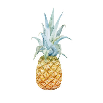 Ananas bateau