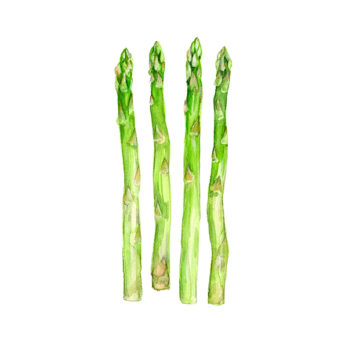 Asperge verte