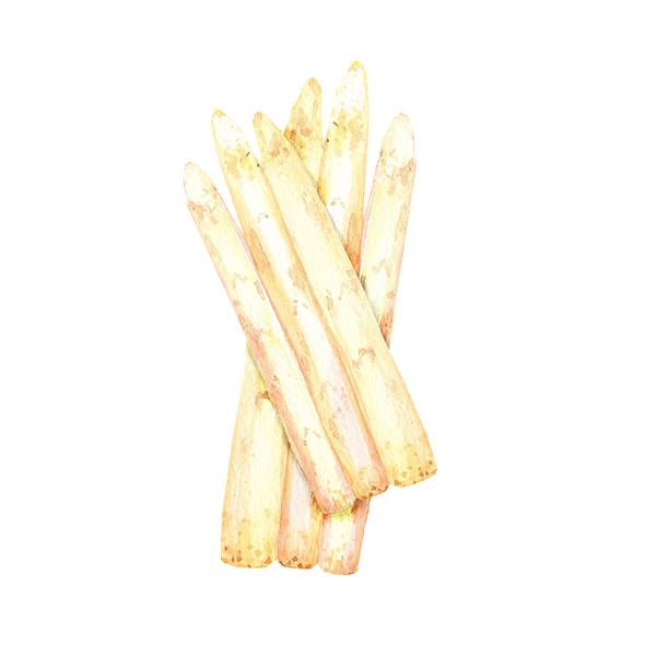 bottes asperges blanches