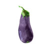 aubergine