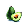 avocat