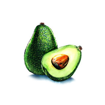 Avocat