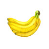 banane bio