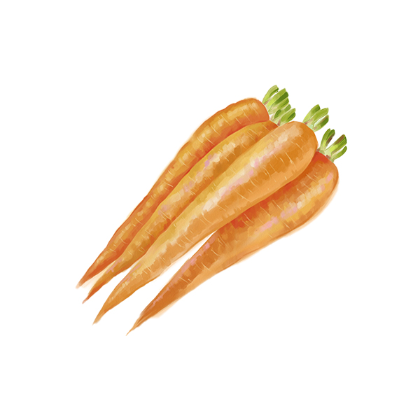 carottes lavées