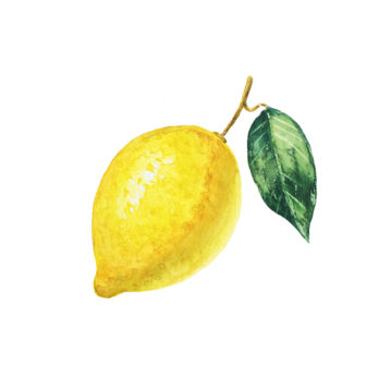 Citron jaune BIO