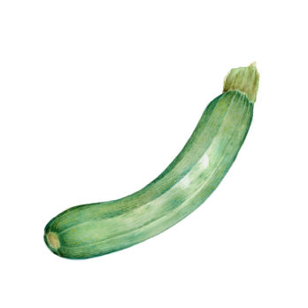 Courgette