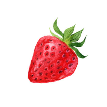 Fraise Française Clery