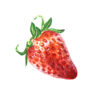 fraise