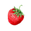 fraise