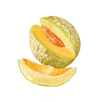 Melon du Maroc