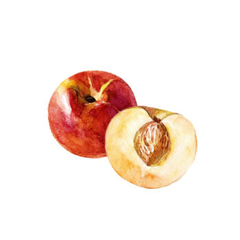 Nectarine blanche