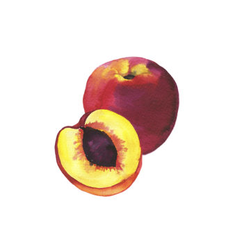 Nectarine jaune