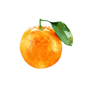 Orange Portugal