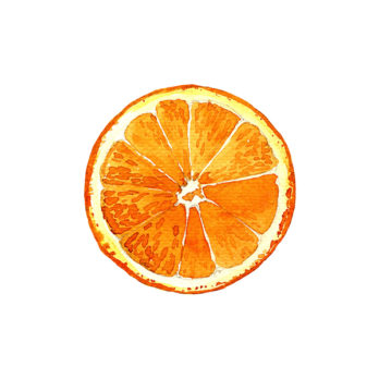 Orange Soculente