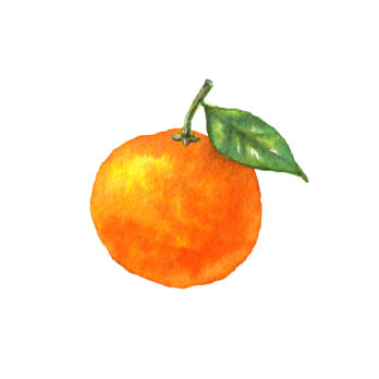 Orange BIO