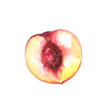 Pêche blanche