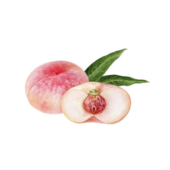 Pêche plate