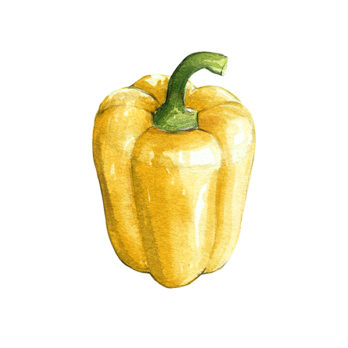 Poivron jaune