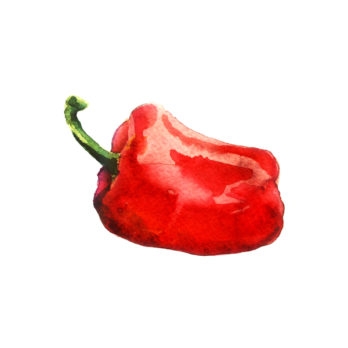 Poivron rouge