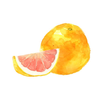 Pomelo