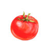 tomate à farcir