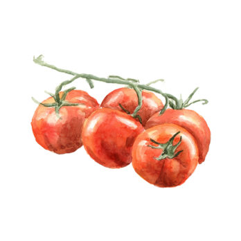 Tomate grappe