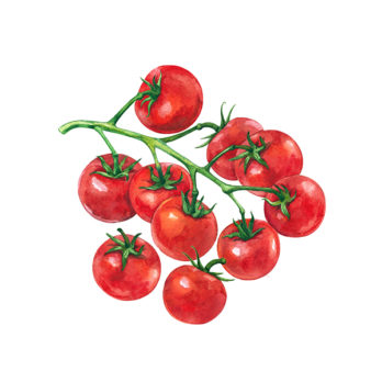 Tomate cerise