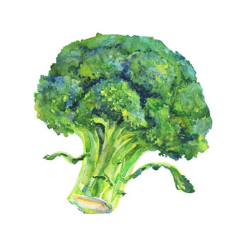 Brocoli