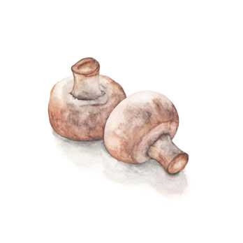 Champignon rosé