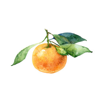 Clémentine Corse