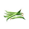 haricots verts