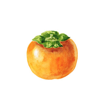 Kaki (à manger au couteau)