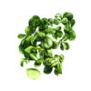 salade mache