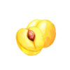 prune mirabelle
