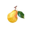 poire commice