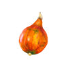 potimarron