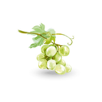 Raisin Italia