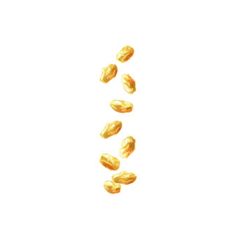 Raisin sec blond