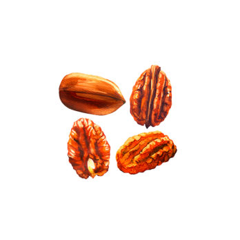 Noix de pécan